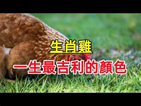 雞年幸運顏色|【雞的幸運色】屬雞幸運色讓你運勢飛！不可不知的吉祥色。